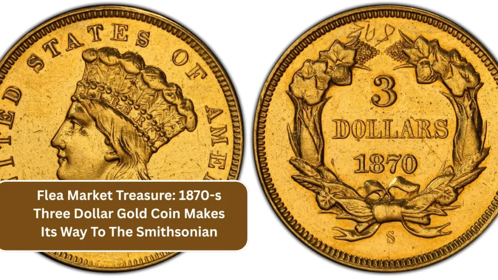 Flea Market Treasure: 1870-s Three Dollar Gold Coin Makes Its Way To The Smithsonian