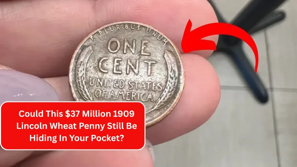 Could This $37 Million 1909 Lincoln Wheat Penny Still Be Hiding In Your Pocket?
