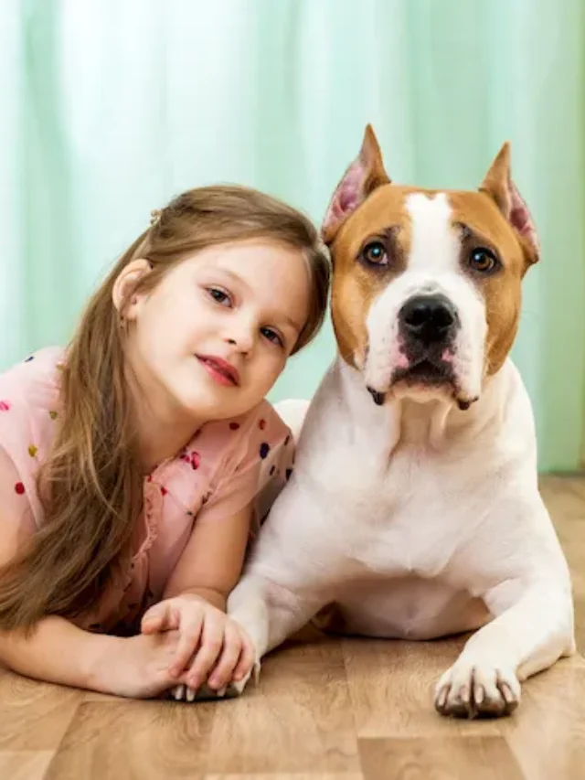 7 Dog Breeds That Are Great with Kids